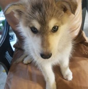 Meet your Posher, Ruth